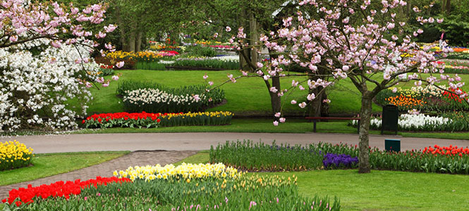 Gärten, Parks & Blumenfeste