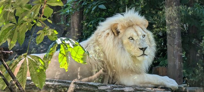 Tiere erleben