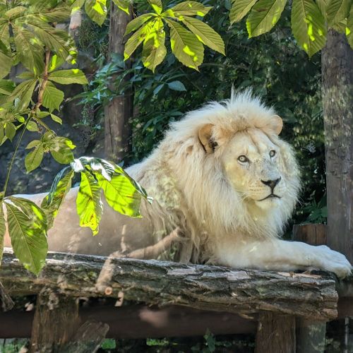Tiere erleben