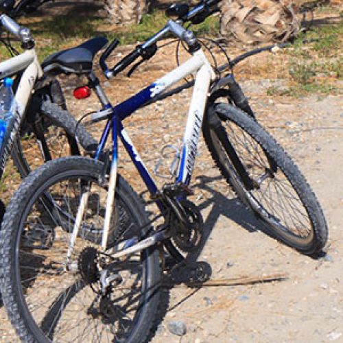 Fahrradtouren & Radreisen