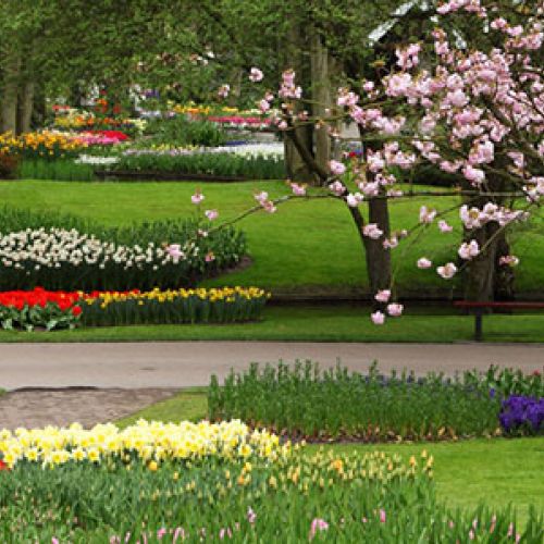 Gärten, Parks & Blumenfeste